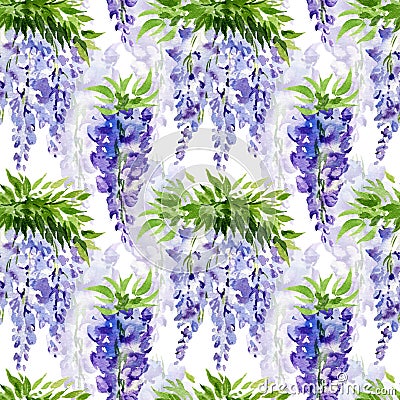 watercolor seamless pattern with branch of wisteria blossom flowers, hand drawn illustration with spring lilac flowers Cartoon Illustration