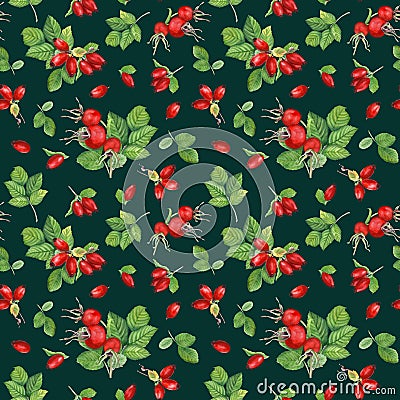 Watercolor seamless pattern with Brier leaves and berries. Autumn illustration isolated on dark background Cartoon Illustration