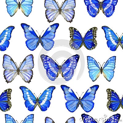 Watercolor seamless pattern with butterflies Morpho on white Stock Photo