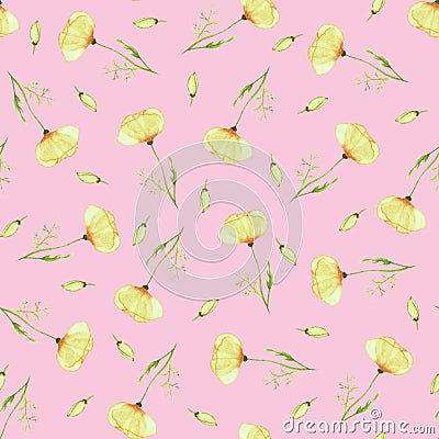 Watercolor seamless pattern of California poppies on a pink background Stock Photo