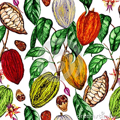 Watercolor seamless pattern of cocoa plant,cocoa flowers,cocoa beans,cocoa fruits Cartoon Illustration