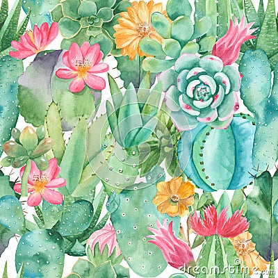 Watercolor seamless pattern with compositions of succulents, flowers. Stock Photo