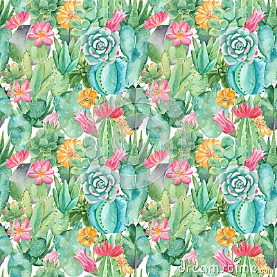 Watercolor seamless pattern with compositions of succulents, flowers. Stock Photo