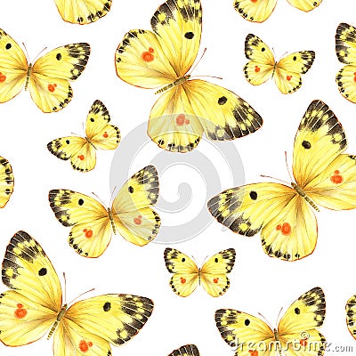 Watercolor seamless pattern with flying yellow butterflies Stock Photo