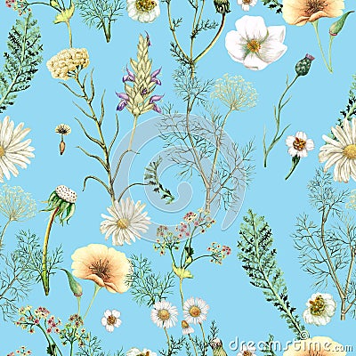 Watercolor seamless pattern of hand drawn wildflowers Stock Photo