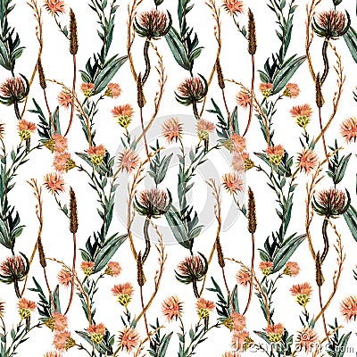 Watercolor seamless pattern herbs,wild flowers and leaves. Stock Photo