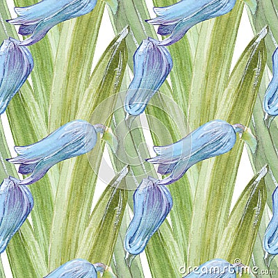 Watercolor seamless pattern with jacinth Stock Photo