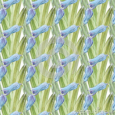 Watercolor seamless pattern with jacinth buds Stock Photo