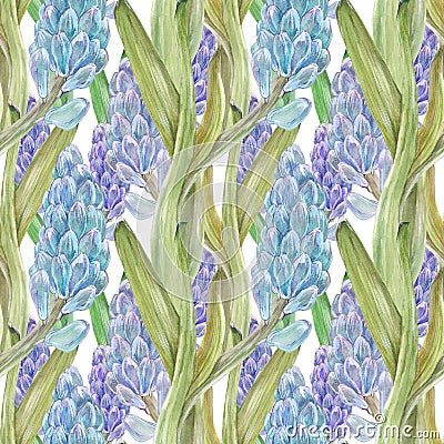 Watercolor seamless pattern with jacinth Stock Photo