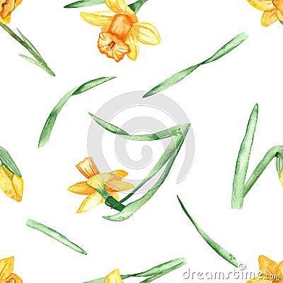 Watercolor seamless pattern with leaves and flowers of daffodil on a white background Stock Photo