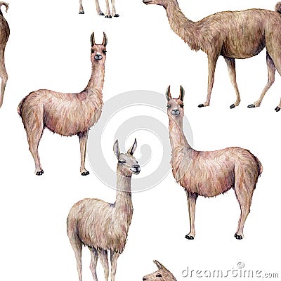 Watercolor seamless pattern with llama. Hand painted beautiful illustration with animal isolated on white background Cartoon Illustration