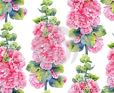 Watercolor seamless pattern with lush pink mallow flowers Cartoon Illustration
