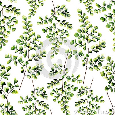 Watercolor seamless pattern with maidenhair fern leaves. Hand painted fern ornament. Floral illustration isolated on Cartoon Illustration