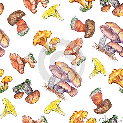 Watercolor seamless pattern with mushrooms Stock Photo