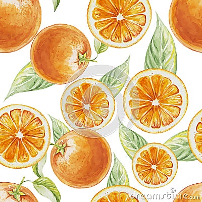Watercolor seamless pattern of orange fruit with leafs Vector Illustration