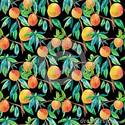 Watercolor Seamless Pattern with Orange Peaches,leaves on black isolated background doodle style.Fruits print Stock Photo