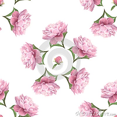 Watercolor seamless pattern of pink peony flowers Stock Photo