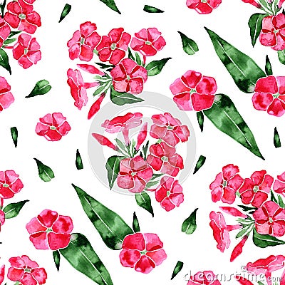 Watercolor seamless pattern with phlox flower. Hand drawn vintage illustration. Cartoon Illustration