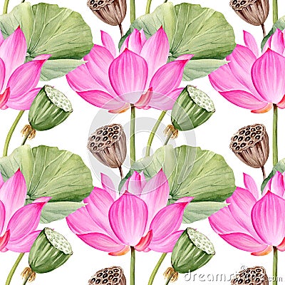 watercolor seamless pattern of pink lotus flower, buds and leaves, hand drawn illustration of spa and yoga theme, sketch Cartoon Illustration