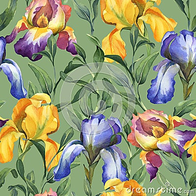 Watercolor seamless pattern with purple, yellow and blue iris flower and green leaves Stock Photo