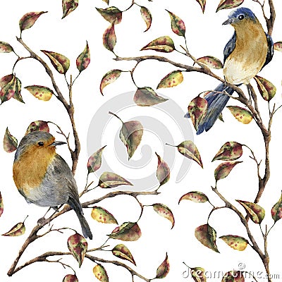 Watercolor seamless pattern with robin sitting on tree branch. Autumn illustration with birds and fall leaves isolated Cartoon Illustration