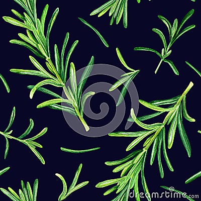 Watercolor seamless pattern with rosemary Rosmarinus officinalis herb. Botanical illustration for wrapping, textile Cartoon Illustration