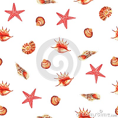 Watercolor seamless pattern of shells and Asterias Stock Photo