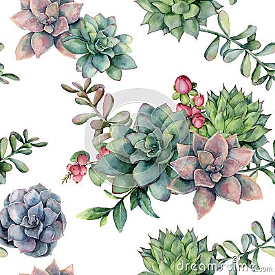 Watercolor seamless pattern with succulent bouquet and red berries. Hand painted flowers, branch and hypericum isolated Cartoon Illustration