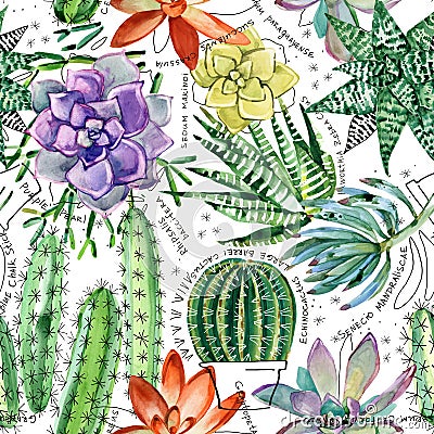 Watercolor seamless pattern with succulents and cactuses. Cartoon Illustration