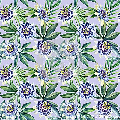 Watercolor seamless pattern tropical leaves and passionflower flowers, jungle background. Cartoon Illustration