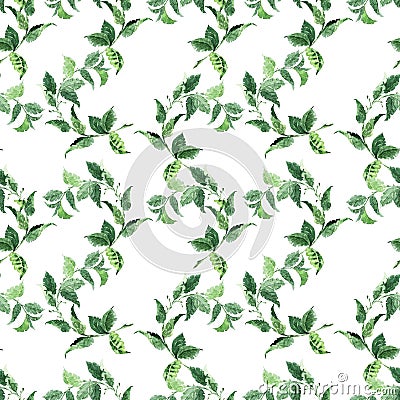 Watercolor seamless pattern with various aromatic plants Stock Photo