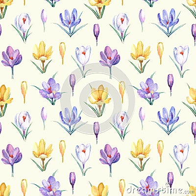 Watercolor seamless pattern with yellow, violet and white crocuses. Stock Photo