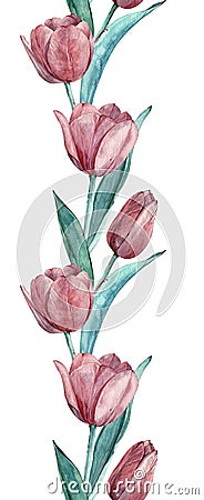 Seamless vertical border of dark pink tulips. Watercolor frame. Stock Photo