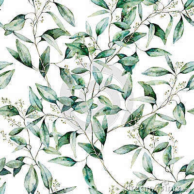 Watercolor seeded eucalyptus seamless pattern. Hand painted eucalyptus branch and leaves isolated on white background Cartoon Illustration