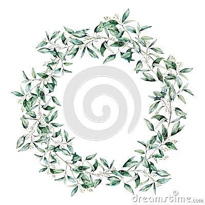 Watercolor seeded eucalyptus wreath. Hand painted eucalyptus branch and leaves isolated on white background. Floral Cartoon Illustration