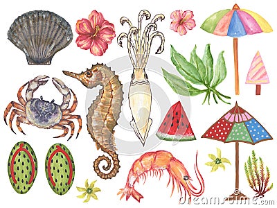 Watercolor Set aquatic animal and fruits plant accessories on vacation Hand-Painted Isolated on white background for backdrop Stock Photo