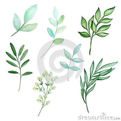 Watercolor set of branches with leaves Stock Photo