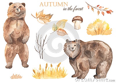 Watercolor set with brown bear, autumn leaves, berries, yellow glade, spikelets, grass, mushroom Stock Photo