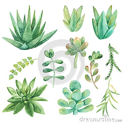 Watercolor set of cacti, succulents, pebbles. Stock Photo