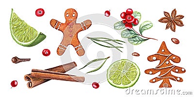 Watercolor set of cinnamons, star anise, lime slices, cowberry, gingerbread cookie, spruce, cloves isolated on white background. Stock Photo