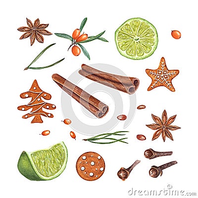 Watercolor set of cinnamons, star anise, lime slices, sea buckthorn berry, gingerbread cookie, spruce, cloves isolated on white Stock Photo