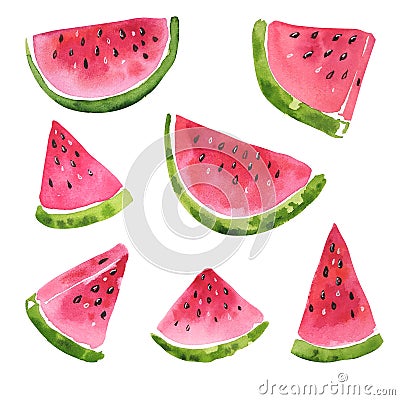 watercolor set of clipart watermelon hand painted illustration Cartoon Illustration