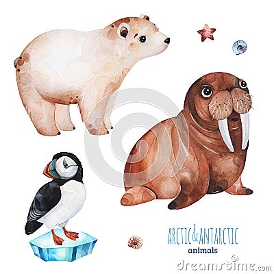 Watercolor set with cute polar bear,puffin and walrus Stock Photo