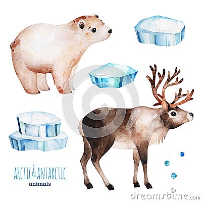 Watercolor set with cute polar bear and reindeer Stock Photo