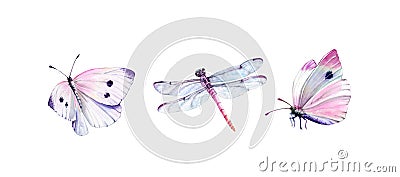 Watercolor set of dragonfly and white butterflies. Realistic insect painting isolated on white. Detailed wings and pink Cartoon Illustration