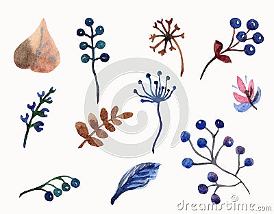 Watercolor set of flowers leaves, branches and berries Cartoon Illustration