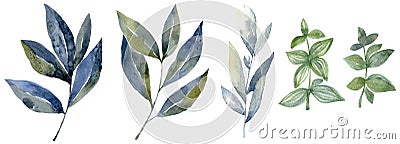 Watercolor set with forest leaf. Wash drawing illustration. Cartoon Illustration