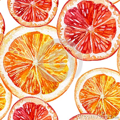 Watercolor set of fresh orange, kiwi and grapefruit Cartoon Illustration