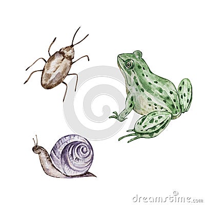 Watercolor set of garden animals and insects Stock Photo