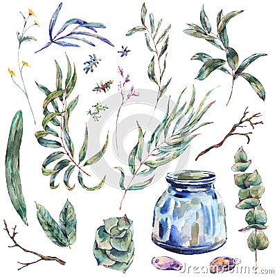 Watercolor set of green tropical leaves and succulents, glass ja Cartoon Illustration